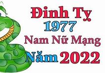 Đinh Tỵ 1977 Năm Nay Bao Nhiêu Tuổi