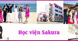 Nhật Ngữ Sakura Bình Dương Học Phí Bao Nhiều 1 Năm Học