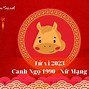 Thái Dương Thủ Mệnh Tại Ngọ 1990 Nữ Mạng Hợp Hướng Nào Nhất