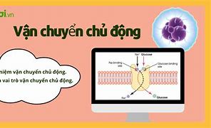 Vận Chuyển Chủ Động Là Gì Sinh 10